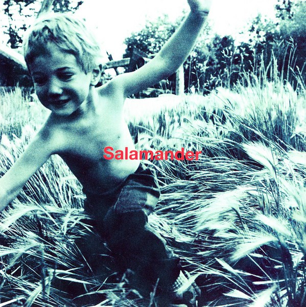 Salamander(サラマンダー)